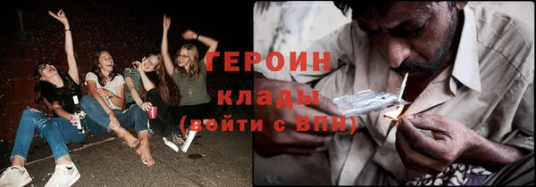 сатива Инсар
