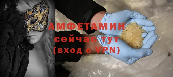 сатива Инсар