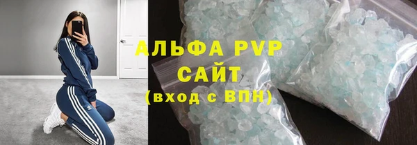 сатива Инсар