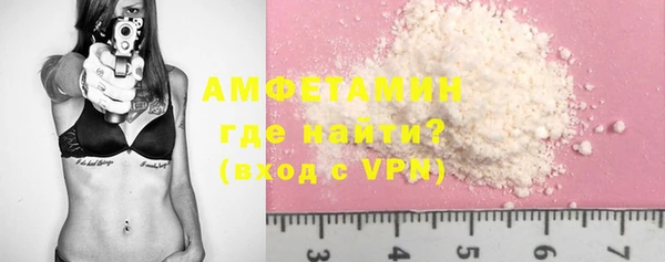 сатива Инсар