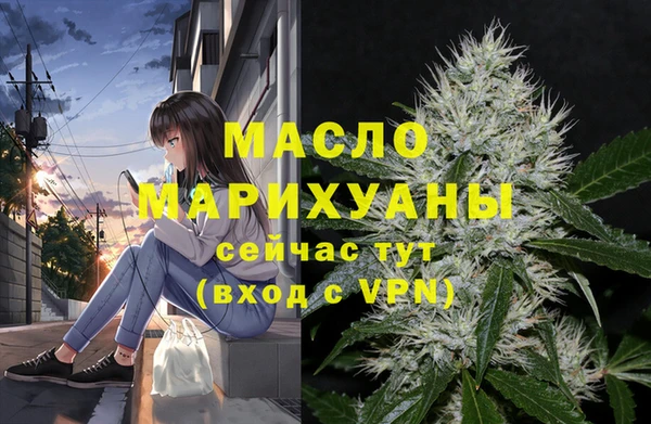 сатива Инсар