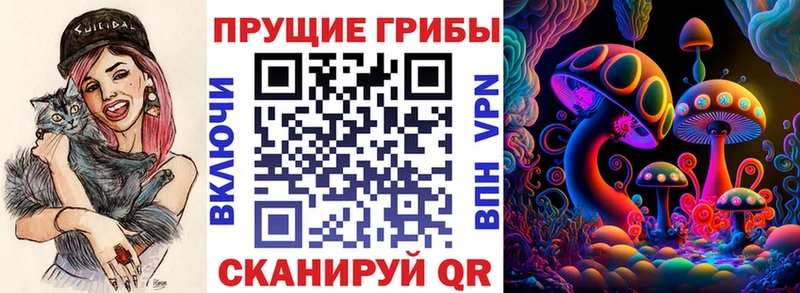 Псилоцибиновые грибы прущие грибы  Купить где  Кологрив 
