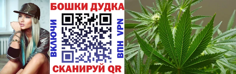 Канабис семена  Купить закладки  Кологрив 